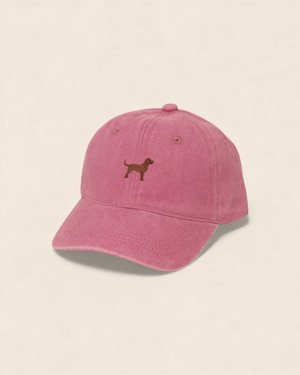 Labrador Personalised Hat - Image 29