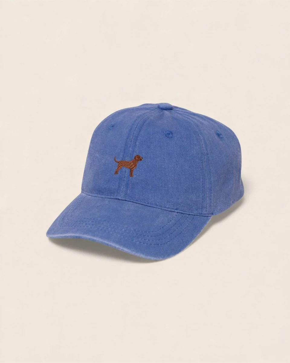 Labrador Personalised Hat - Image 31