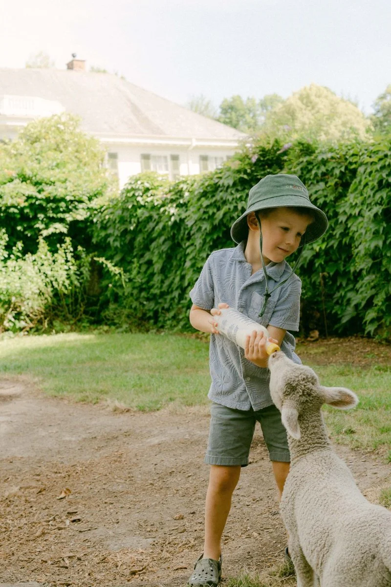 Cat Collection Bucket Hat - Image 4